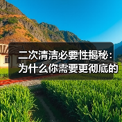 二次清洁必要性揭秘:为什么你需要更彻底的清洁方案(图4) 二次清洁必要性揭秘:为什么你需要更彻底的清洁方案(图4)