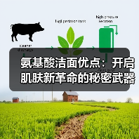 氨基酸洁面优点:开启肌肤新革命的秘密武器(图1) 氨基酸洁面优点:开启肌肤新革命的秘密武器(图1)