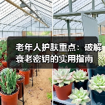 老年人护肤重点:破解衰老密钥的实用指南(图2) 老年人护肤重点:破解衰老密钥的实用指南(图2)
