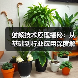 射频技术原理揭秘：从基础到行业应用深度解析（图2）