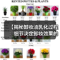 【揭秘卸妆油乳化过程:细节决定卸妆效果的真相】(图4) 【揭秘卸妆油乳化过程:细节决定卸妆效果的真相】(图4)