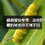 眼唇卸妆专用：这些隐藏的秘密你不得不知（图4）