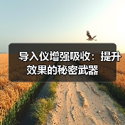 导入仪增强吸收：提升效果的秘密武器（图3）
