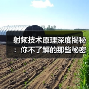 射频技术原理深度揭秘：你不了解的那些秘密（图2）