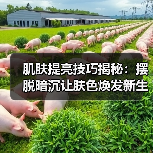 肌肤提亮技巧揭秘：摆脱暗沉让肤色焕发新生（图3）