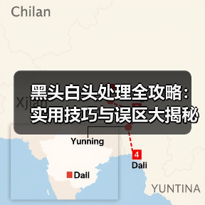 黑头白头处理全攻略：实用技巧与误区大揭秘（图3）