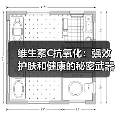 维生素C抗氧化：强效护肤和健康的秘密武器（图2）