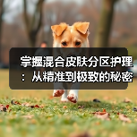 掌握混合皮肤分区护理：从精准到极致的秘密方法