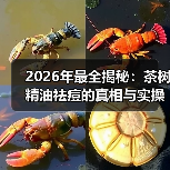 2026年最全揭秘:茶树精油祛痘的真相与实操技巧(图3) 2026年最全揭秘:茶树精油祛痘的真相与实操技巧(图3)