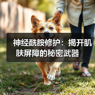 神经酰胺修护：揭开肌肤屏障的秘密武器（图2）