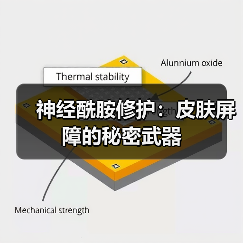 神经酰胺修护:皮肤屏障的秘密武器(图4) 神经酰胺修护:皮肤屏障的秘密武器(图4)