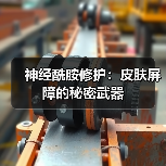 神经酰胺修护：皮肤屏障的秘密武器