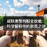 皮肤类型判断全攻略：科学解析你的肤质之谜