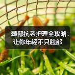 颈部抗老护理全攻略：让你年轻不只脸部（图2）