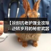 【颈部抗老护理全攻略：逆转岁月的秘密武器】