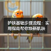 护肤基础步骤流程：实用指南帮你焕新肌肤（图3）