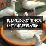 揭秘化妆水使用技巧：让你的肌肤焕发新生（图2）