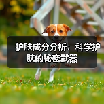 护肤成分分析：科学护肤的秘密武器