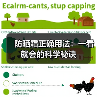 防晒霜正确用法：一看就会的科学秘诀