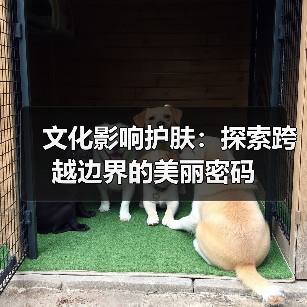 文化影响护肤:探索跨越边界的美丽密码(图1) 文化影响护肤:探索跨越边界的美丽密码(图1)